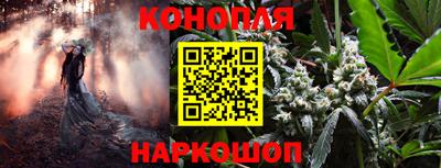 PSILOCYBIN Кулебаки