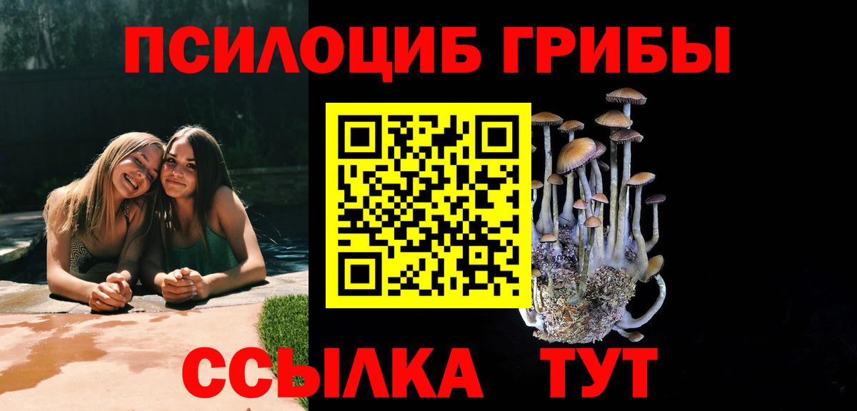 Камышлов  Галлюциногенные грибы прущие грибы  Вход с VPN 
